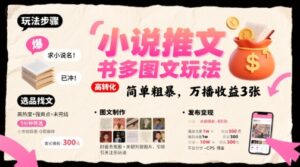 小说推文小红书多图文玩法，简单粗暴，万播收益3张-联创在线
