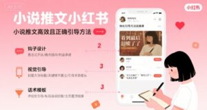 小说推文小红书高转化引导方法实操课，小说推文高效且正确引导方法-联创在线
