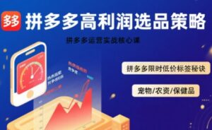 拼多多选品暴利技术实战课,拼多多高利润选品策略,拼多多限时低价标签秘诀-联创在线