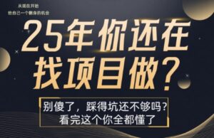 25年，你还在疯狂的找项目吗？别傻了，看完这个你都懂了【揭秘】-联创在线