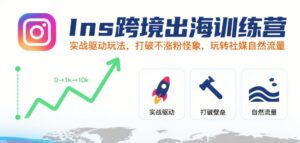 Ins跨境出海训练营，实战驱动玩法，打破不涨粉怪象，玩转社媒自然流量-联创在线