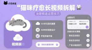 猫咪疗愈长视频拆解 &油管频道运营技巧-联创在线