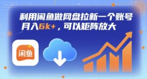 利用闲鱼做网盘拉新一个账号，月入6k+，可以矩阵放大-联创在线