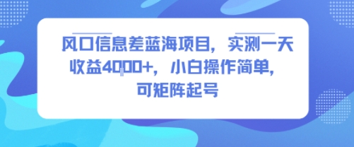 风口信息差蓝海项目，实测一天收益4k+，小白操作简单，可矩阵起号-联创在线