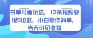 书单号新玩法，13条视频变现5位数，小白操作简单，当天可见收益-联创在线