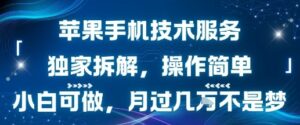 苹果手机技术服务，独家拆解，操作简单，小白可做，月过1W不是梦-联创在线