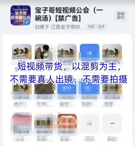宝子哥头部团队短视频带货，以混剪为主，不需要真人出镜，不需要拍摄【更新8月】-联创在线