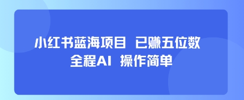 小红书蓝海项目，全程AI，操作简单，已挣五位数-联创在线