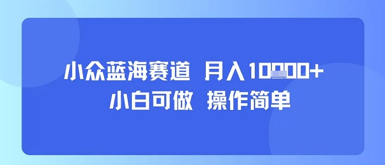 小众蓝海赛道，小白可做，操作简单，每天30分钟，月入1W+-联创在线