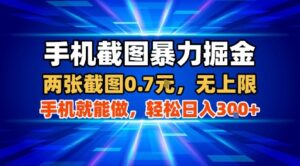 手机截图暴力掘金，两张截图0.7米，一部手机就能做，轻松日入3张+【揭秘】-联创在线
