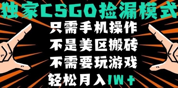 CSGO自动捡漏项目，最新独家玩法，不是美区搬砖，不需要了解和玩游戏，新手小白轻松月入1W+【揭秘】-联创在线