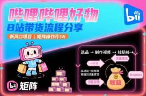 哔哩哔哩好物，B站带货流程分享，新风口项目，矩阵操作月1W-联创在线
