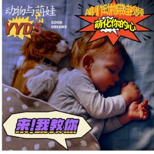 AI制作动物与萌娃互动视频，瞬间萌化你的心，粉丝大米一起收货！-联创在线