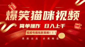爆笑猫咪视频:简单操作,日入过千,视频号搞钱新策略!-联创在线