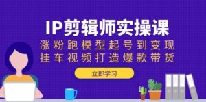 IP剪辑师实操课：涨粉跑模型起号到变现，挂车视频打造爆款带货-联创在线