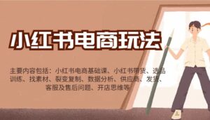 小红书电商玩法：带货/选品/找素材/裂变/数据分析/供应商/发货/售后/开店思维等-联创在线