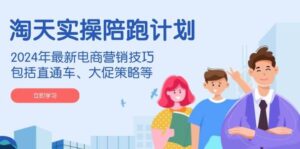 淘天实操陪跑计划，2024年最新电商营销技巧，包括直通车、大促策略等-联创在线