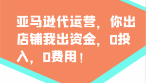 亚马逊代运营，你出店铺我出资金，0投入，0费用，无责任每天300分红，赢亏我承担-联创在线
