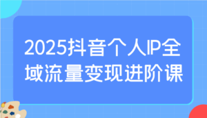 2025抖音个人IP全域流量变现进阶课:选爆品、抖音付费投流、千川投流实操及优化等-联创在线