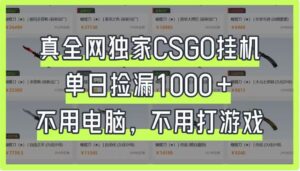真全网独家CSGO挂机，单日捡漏1000+，不用电脑，不用养号-联创在线