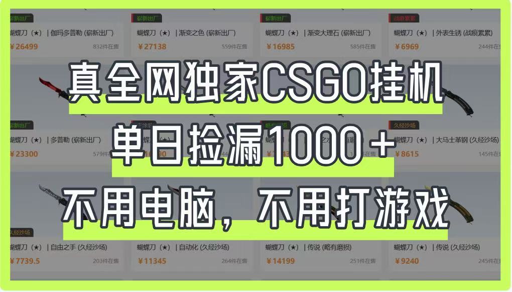 真全网独家CSGO挂机，单日捡漏1000+，不用电脑，不用养号-联创在线