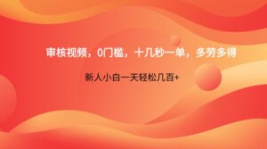 审核视频，0门槛，十几秒一单，多劳多得，新人小白一天轻松几百+-联创在线