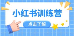 小红书训练营,助小白入门,掌握技巧变达人,课程实操又全面(12节课)-联创在线
