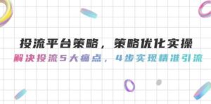 投流平台策略，策略优化实操，解决投流5大痛点，4步实现精准引流-联创在线