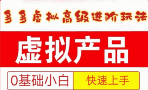 25拼多多虚拟资料高级进阶玩法,小白也能快速上手,保姆级教程-联创在线