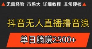 抖音无人直播6.0 简单无脑可矩阵 每天两小时轻松躺赚500+-联创在线