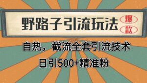 2024首发野路子引流玩法截流自热全平台打法，全自动引流【日引2000+精准客户】-联创在线