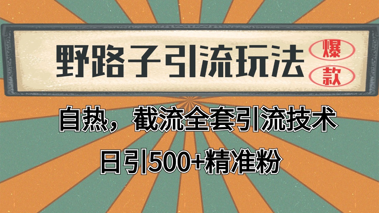 2024首发野路子引流玩法截流自热全平台打法，全自动引流【日引2000+精准客户】-联创在线