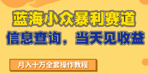 蓝海小众暴利赛道，信息查询，当天见收益，不讲玄学，7天搞了2万+-联创在线