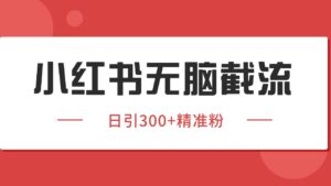 小红书截流同行客源，独家野路子获客玩法 日引200+暴力获客-联创在线
