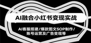 AI融合小红书变现实战课，AI客服搭建/爆款图文SOP制作/账号运营及广告变现等-联创在线