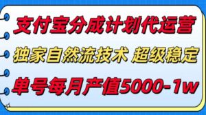 支付宝分成计划代运营，独家自然流技术，收益稳定，单号月产5000＋-联创在线