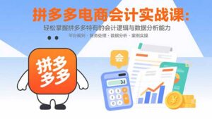 拼多多电商会计实战课：轻松掌握拼多多特有的会计逻辑与数据分析能力-联创在线