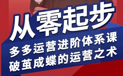 【精】拼多多运营进阶系统课，从零起步，多多运营进阶体系课，破茧成蝶的运营之术-联创在线