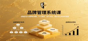 品牌管理系统课:战略定位与消费者洞察,DTC案例、资产评估,增长与公关体系搭建-联创在线