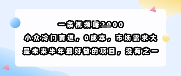 一条视频挣1k，小众冷门赛道，0成本，市场需求大，是未来半年最好做的项目，没有之一-联创在线