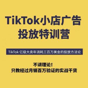 【精】TikTok小店广告投放特训营，6天破局计划专治各种“投不动”，教你经过月销百万验证的实战干货-联创在线