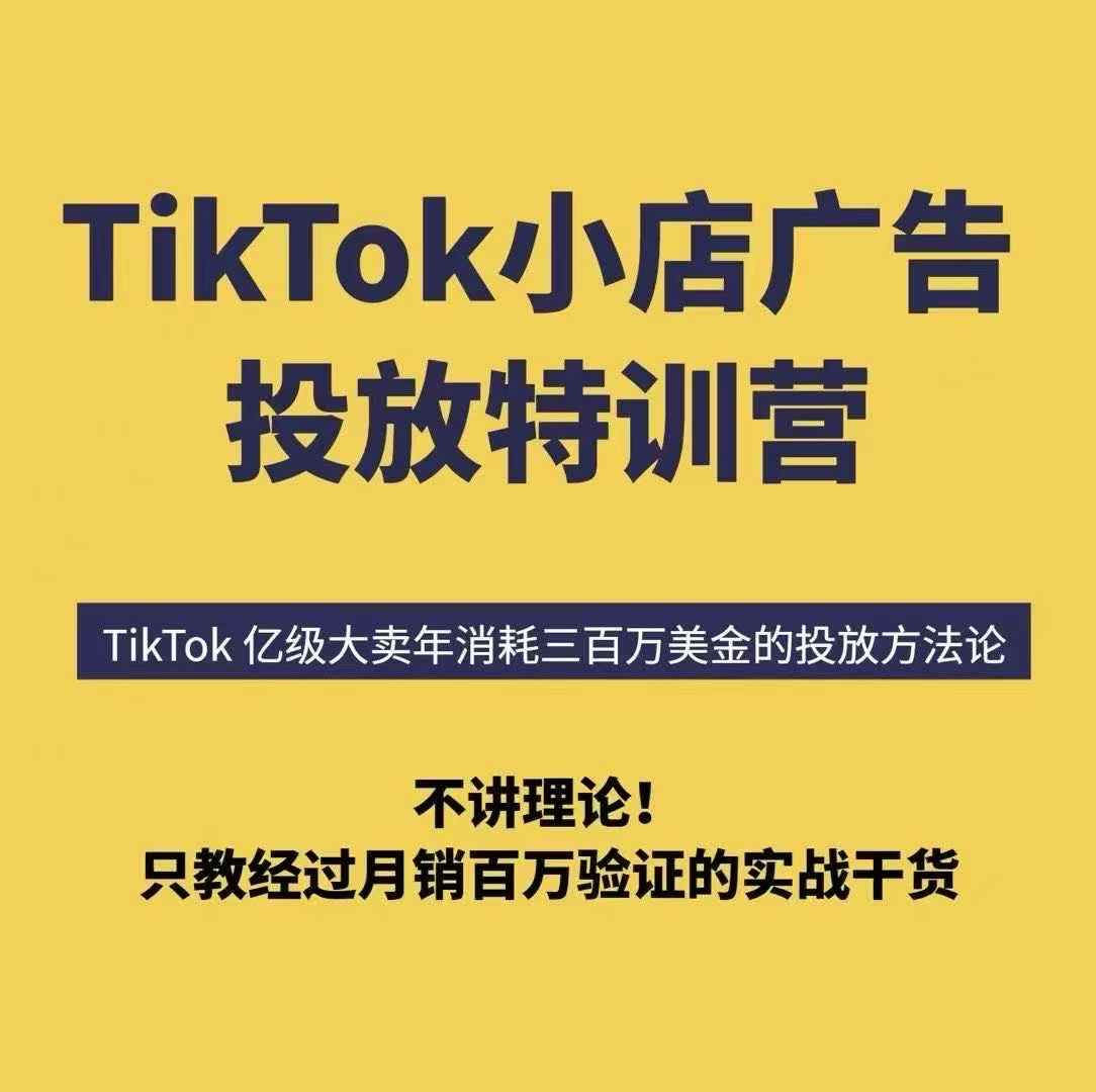 【精】TikTok小店广告投放特训营，6天破局计划专治各种“投不动”，教你经过月销百万验证的实战干货-联创在线