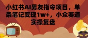 小红书AI男友指令项目,单条笔记变现1w+,小众赛道实操复盘-联创在线