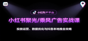 小红书聚光/乘风广告实战课：投放运营、数据优化与抖音本地推全攻略-联创在线