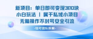 新项目单日即可变现3张的小白玩法无脑操作不封号安全引流-联创在线