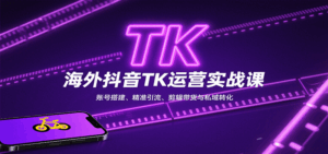 海外抖音TK运营实战课：账号搭建、精准引流、剪辑带货与私域转化-联创在线