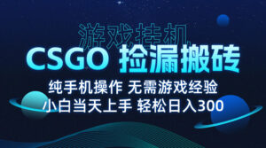 8月最新游戏搬砖,CSGO纯挂机,不需要玩游戏,实现真挂机,月入1W+-联创在线