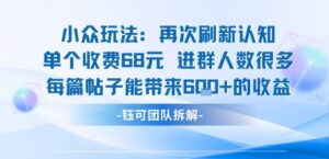 小众玩法再次刷新认知单个收费68米进群人数很多每篇帖子能带来6张的收益-联创在线