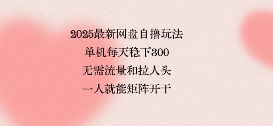 2025最新网盘自撸玩法，单机每天稳下3张，无需流量和拉人头，一个人就可轻松矩阵，全网独一份【揭秘】-联创在线