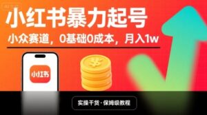 小红书暴力起号，小众赛道，0基础0成本，月入1w-联创在线